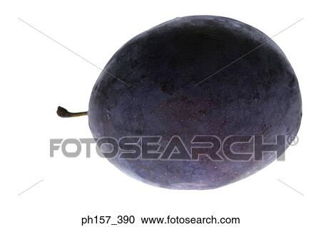 Stock Image - Plum. Fotosearch