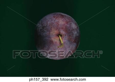 Plum, top view View Large Photo Image Stock Image - Plum, top view. Fotosearch