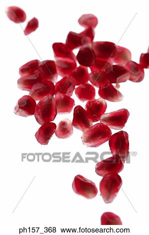 Pomegranate View Large Photo Image Stock Photo - Pomegranate . Fotosearch