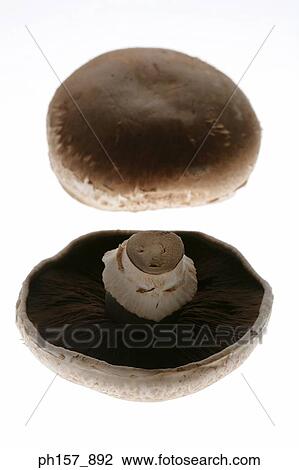 Portobelllo mushrooms View Large Photo Image Stock Image - Portobelllo mushrooms. Fotosearch