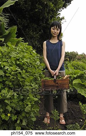 Portrait of a young woman holding a basket and standing in a garden View Large Photo Image Stock Photography - Portrait of a young woman holding a basket and standing in a garden. Fotosearch
