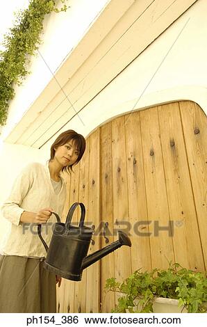 Portrait of a young woman watering a potted plant with a watering can View Large Photo Image Stock Photograph - Portrait of a young woman watering a potted plant with a watering can. Fotosearch