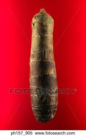 Potatoe View Large Photo Image Stock Photography - Potatoe. Fotosearch