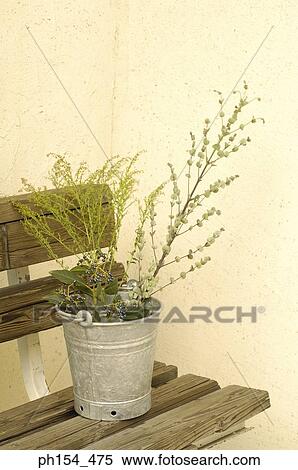 Potted plant on a bench View Large Photo Image Stock Photography - Potted plant on a bench. Fotosearch