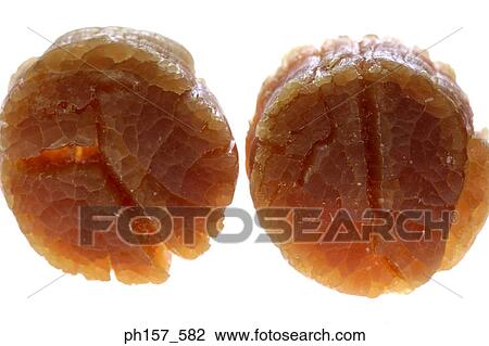Preserved scallops View Large Photo Image Stock Image - Preserved scallops. Fotosearch