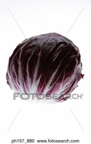 Radicchio View Large Photo Image Stock Image - Radicchio. Fotosearch