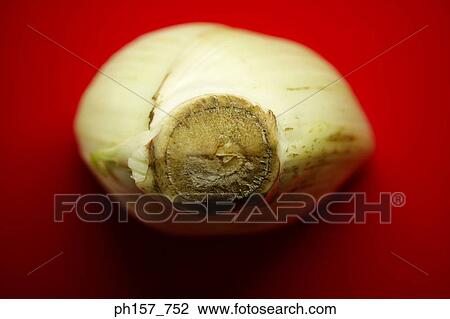 Radish View Large Photo Image Stock Image - Radish. Fotosearch