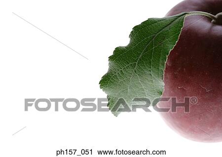 Red apple with leaf, close-up View Large Photo Image Stock Image - Red apple with leaf, close-up. Fotosearch