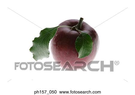 Red apple with leaves View Large Photo Image Stock Image - Red apple with leaves. Fotosearch