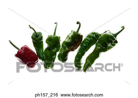 Red bell pepper and green chilli pepper View Large Photo Image Stock Photograph - Red bell pepper and green chilli pepper. Fotosearch