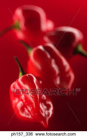 Stock Photograph - Red Chilli pepper. Fotosearch