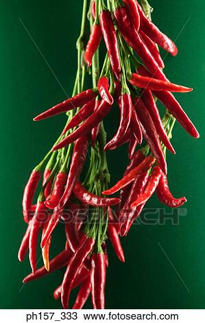 Stock Image - Red chilli. Fotosearch