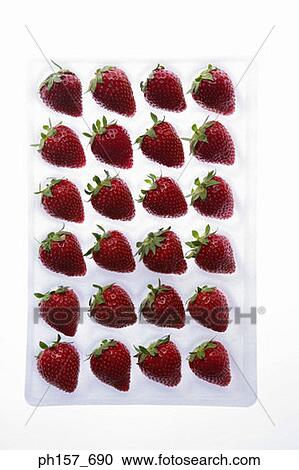 Rows of strawberry View Large Photo Image Stock Image - Rows of strawberry. Fotosearch
