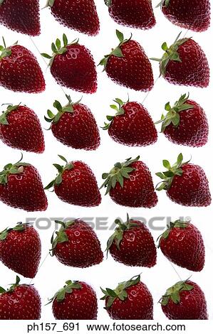 Rows of strawberry View Large Photo Image Stock Image - Rows of strawberry. Fotosearch