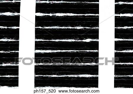 Seaweed, bundled View Large Photo Image Stock Image - Seaweed, bundled. Fotosearch