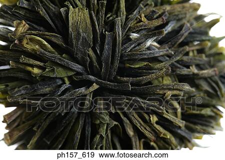 Stock Photo - Seaweed, close-up. Fotosearch