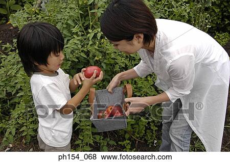 Side profile of a mid adult woman and her daughter holding a basket of apples View Large Photo Image Stock Photo - Side profile of a mid adult woman and her daughter holding a basket of apples. Fotosearch