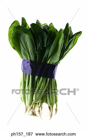 Stock Photo - Spinach, bundled. Fotosearch