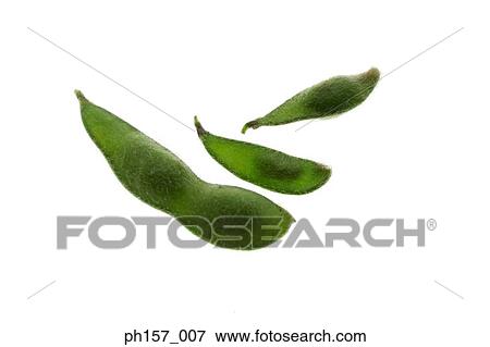 Stock Photo - Three pea pods, close-up. Fotosearch