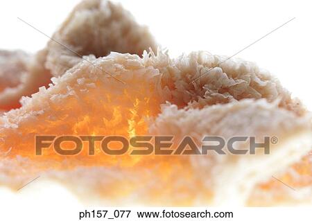 Tripe, close-up View Large Photo Image Stock Photo - Tripe, close-up. Fotosearch