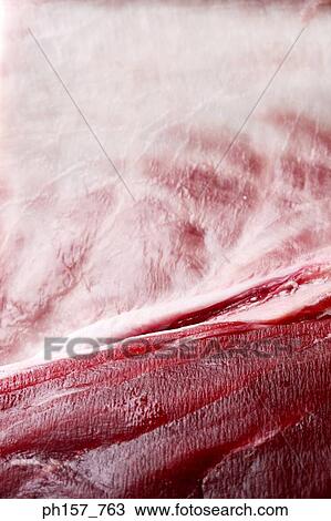Tuna, close-up View Large Photo Image Stock Image - Tuna, close-up. Fotosearch