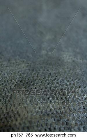 Stock Photography - Tuna, close-up. Fotosearch