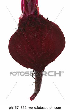 Turnip. Cross section View Large Photo Image Stock Image - Turnip. Cross section. Fotosearch