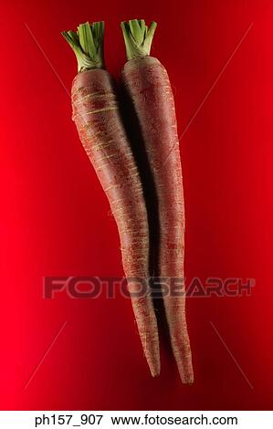 Stock Photo - Two carrots on a red background. Fotosearch