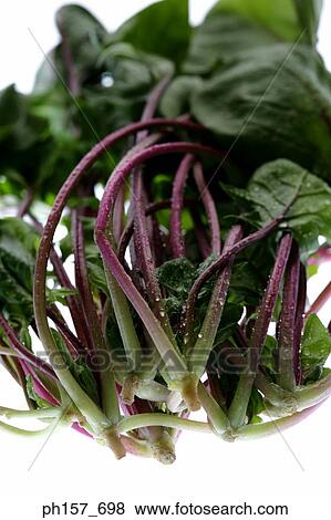 Stock Photo - Vegetable, close-up. Fotosearch