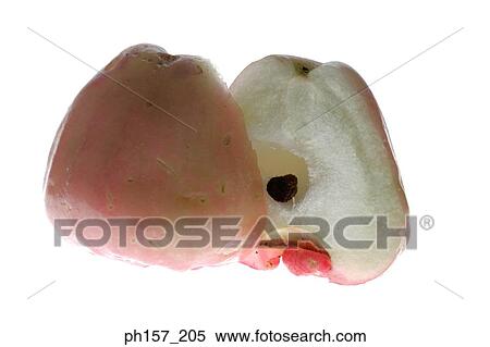 Stock Photography - Water Apple, halved. Fotosearch