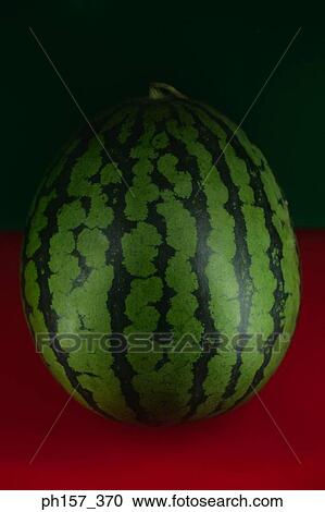 Stock Image - Water melon. Fotosearch