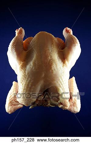 Stock Photo - Whole chicken. Fotosearch