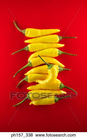 Stock Photo - Yellow chilli pepper. Fotosearch