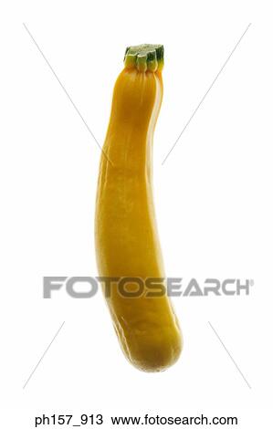 Yellow squash View Large Photo Image Stock Image - Yellow squash. Fotosearch