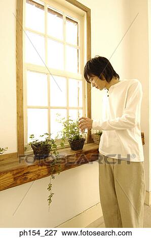 Young man watering a potted plant View Large Photo Image Stock Photo - Young man watering a potted plant. Fotosearch