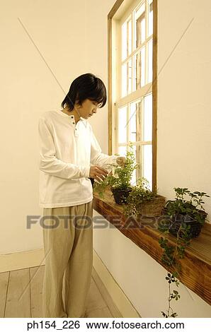 Stock Photograph - Young man watering a potted plant. Fotosearch