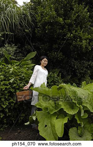 Young woman holding a basket in a garden View Large Photo Image Stock Image - Young woman holding a basket in a garden. Fotosearch