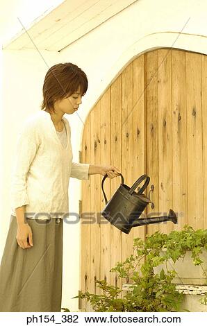 Young woman watering plants with a watering can View Large Photo Image Stock Image - Young woman watering plants with a watering can. Fotosearch