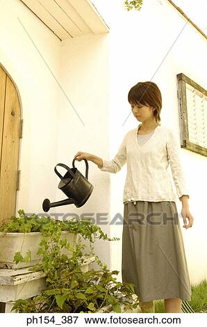 Stock Photo - Young woman watering plants with a watering can. Fotosearch