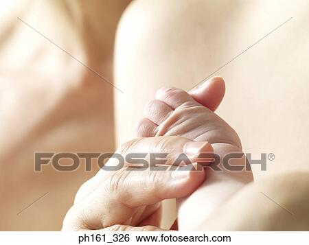 An adult's hand holding a baby's feet View Large Photo Image Stock Photograph - An adult's hand holding a baby's feet. Fotosearch