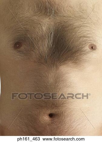 Stock Image - Close-up of a man's hairy chest. Fotosearch