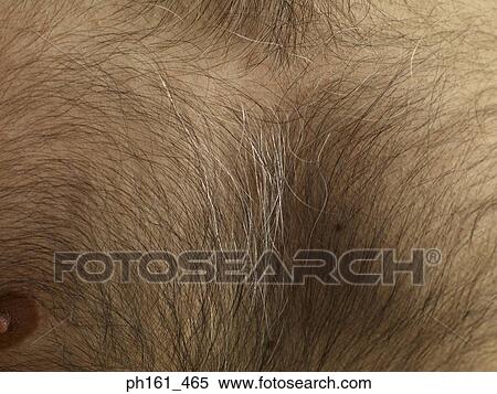 Close-up of a man's hairy chest View Large Photo Image Stock Photography - Close-up of a man's hairy chest. Fotosearch