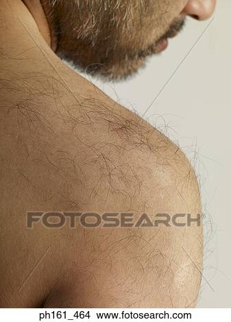Close-up of a man's hairy shoulder View Large Photo Image Picture - Close-up of a man's hairy shoulder. Fotosearch