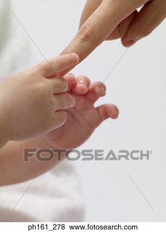 Stock Photo - Close-up of an infant's hands touching an adult's fingers. Fotosearch