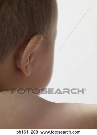 Stock Photo - Close-up of baby's head, rear view. Fotosearch