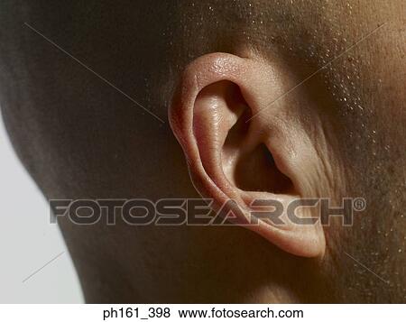 Stock Photo - Close-up of man's ear. Fotosearch
