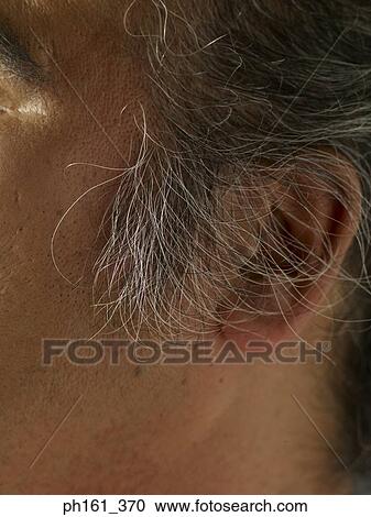Stock Image - Close-up of mature man's ear. Fotosearch