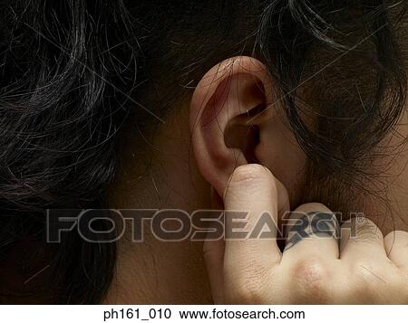 Man pulling his ear, close-up View Large Photo Image Stock Image - Man pulling his ear, close-up. Fotosearch