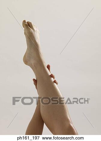 Woman holding her calf View Large Photo Image Stock Photo - Woman holding her calf. Fotosearch
