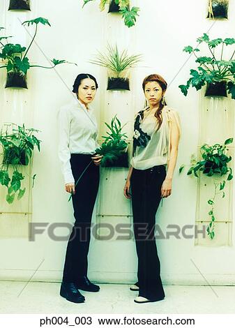 Two young women standing, potted plants decorated wall background View Large Photo Image Stock Image - Two young women standing, potted plants decorated wall background. Fotosearch
